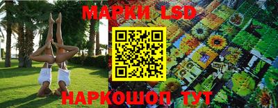 скорость Бердск