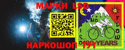 скорость Бердск