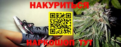 скорость Бердск