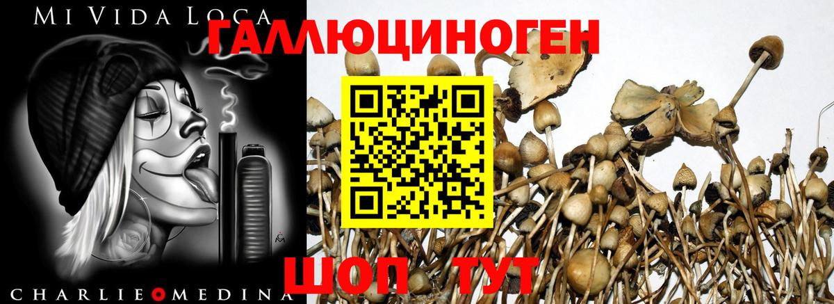 Галлюциногенные грибы мицелий  Вход с VPN  Галлюциногенные грибы Magic Shrooms  Лесозаводск 